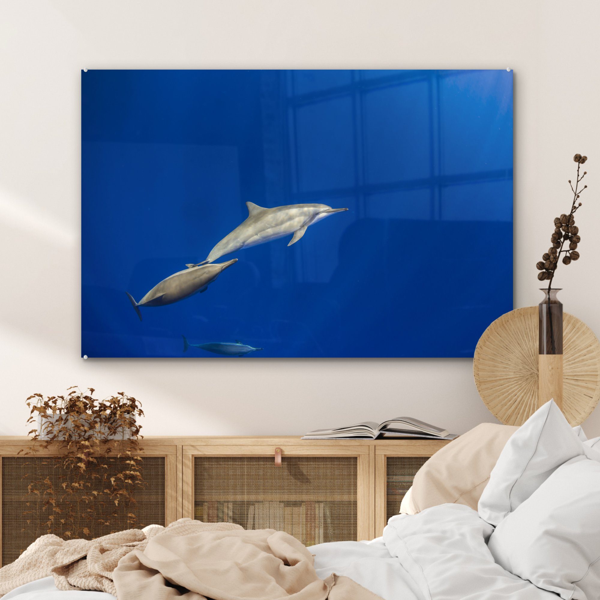 (1 Delfin MuchoWow Acrylglasbilder Acrylglasbild Tier Meer, - & Wohnzimmer St), - Schlafzimmer