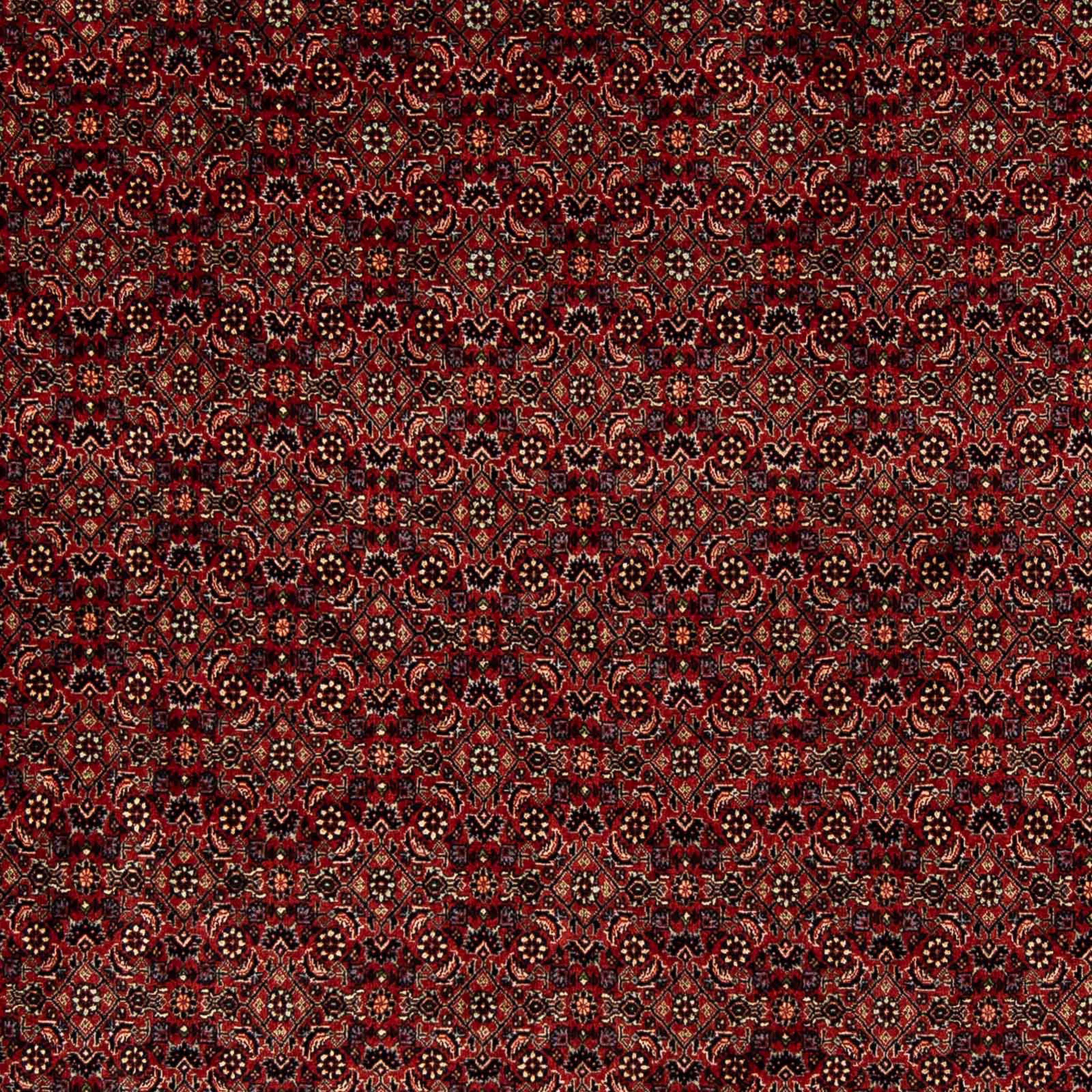 Orientteppich Perser - Bidjar mm, Zertifikat Einzelstück - rechteckig, cm 200 x Höhe: 246 morgenland, mit - dunkelrot, Handgeknüpft, Wohnzimmer, 15