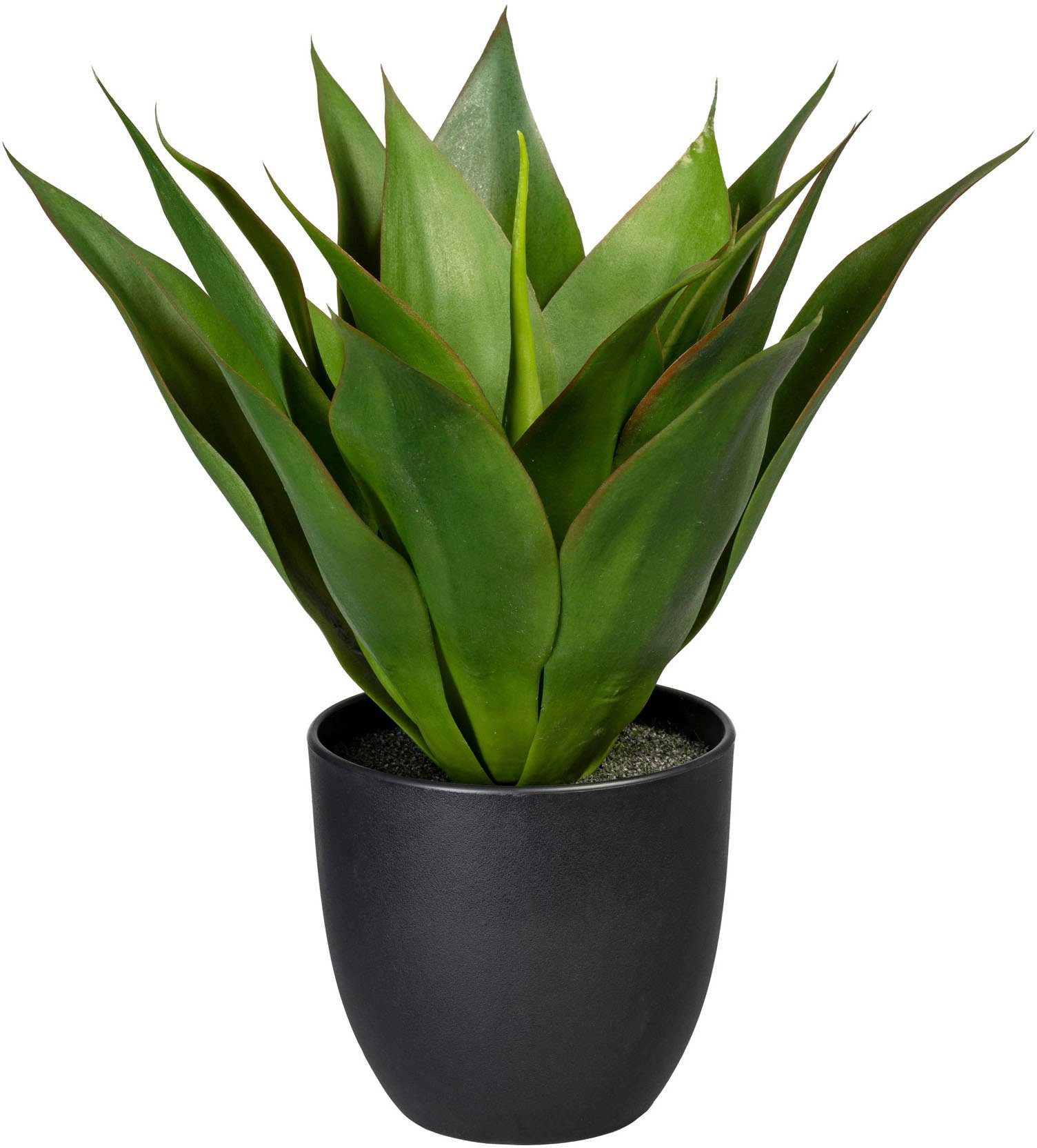 Künstliche Zimmerpflanze Agave Agave, Creativ green, Höhe 36 cm grün