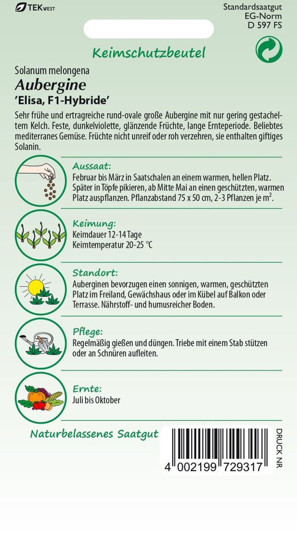 SAMEN PFANN Gemüsesamen Aubergine, Elisa - Saatgut Samen, Solanum melongena – Bild 2 von 2