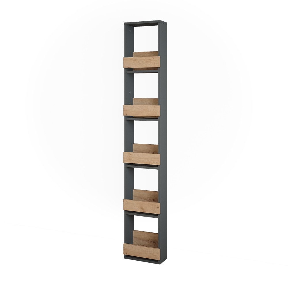 Vicco Weinregal Repose, Goldkraft Eiche/Anthrazit, 30 x 180 cm, 1-tlg.