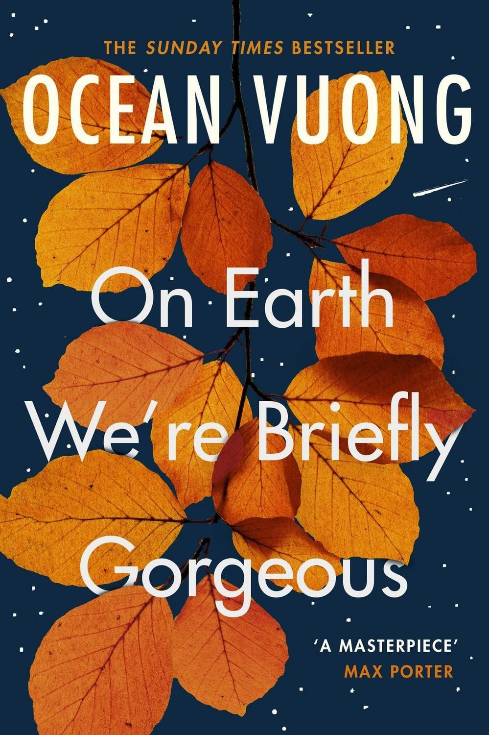On Earth We're Briefly Gorgeous / Ocean Vuong