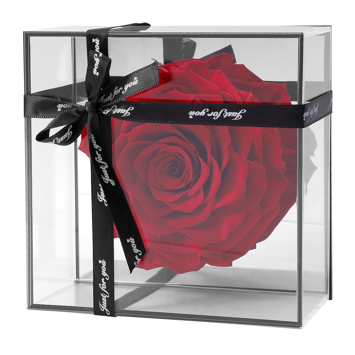 Kunstblume »Konservierte Rosen, 9 cm, mit Geschenkbox, Romantische Geschenke  zum Valentinstag Jahrestag Hochzeit« rose, Lapalife, Höhe 9 cm online  kaufen | OTTO