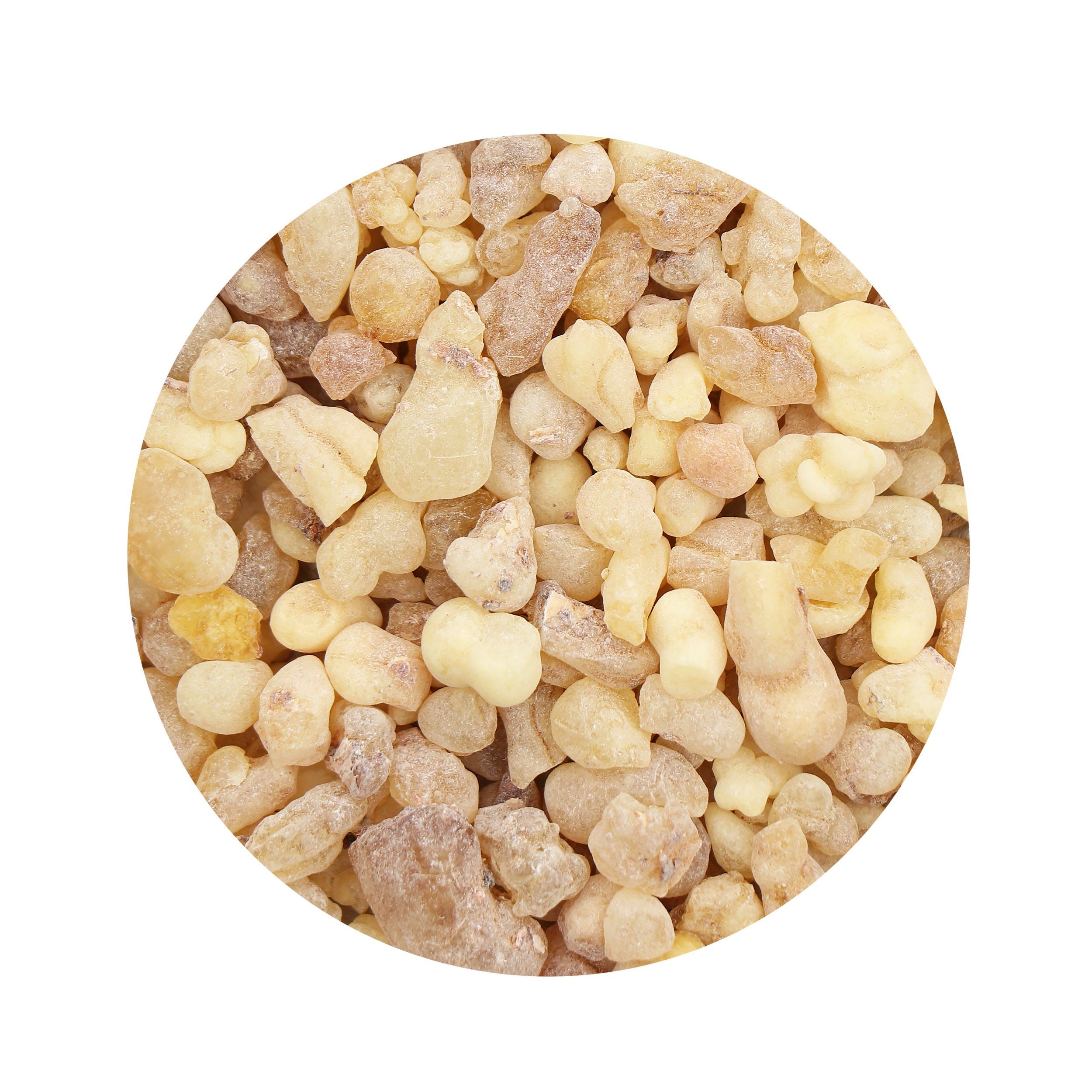 NKlaus Räucherschale Eritrea 100g Olibanum Weihrauch günstig online kaufen