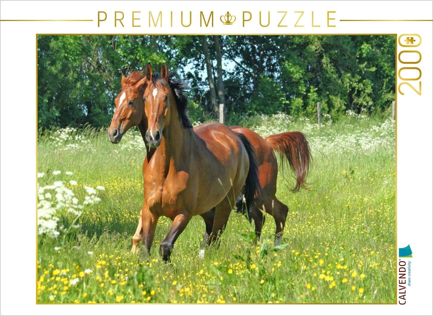 CALVENDO Puzzle CALVENDO Puzzle Pferde - Kameraden mit vier Hufen 2000 Teile Lege-Größe 90 x 67 cm Foto-Puzzle Bild von ella, 2000 Puzzleteile