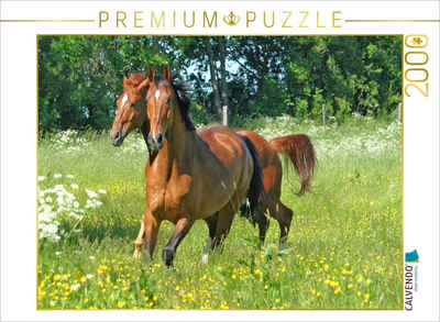 CALVENDO Puzzle CALVENDO Puzzle Pferde - Kameraden mit vier Hufen 2000 Teile Lege-Größe 90 x 67 cm Foto-Puzzle Bild von ella, 2000 Puzzleteile