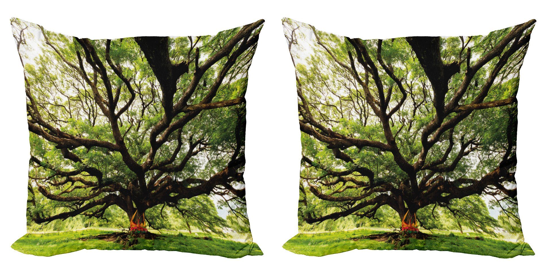 Kissenbezüge Modern Accent Doppelseitiger Digitaldruck, Abakuhaus (2 Stück), Natur Majestätischer Baum Thailand
