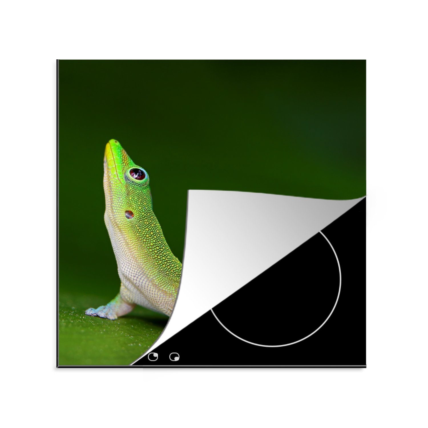 MuchoWow Herdblende-/Abdeckplatte Nach oben blickender grüner Gecko, Vinyl, (1 tlg), 78x78 cm, Ceranfeldabdeckung, Arbeitsplatte für küche