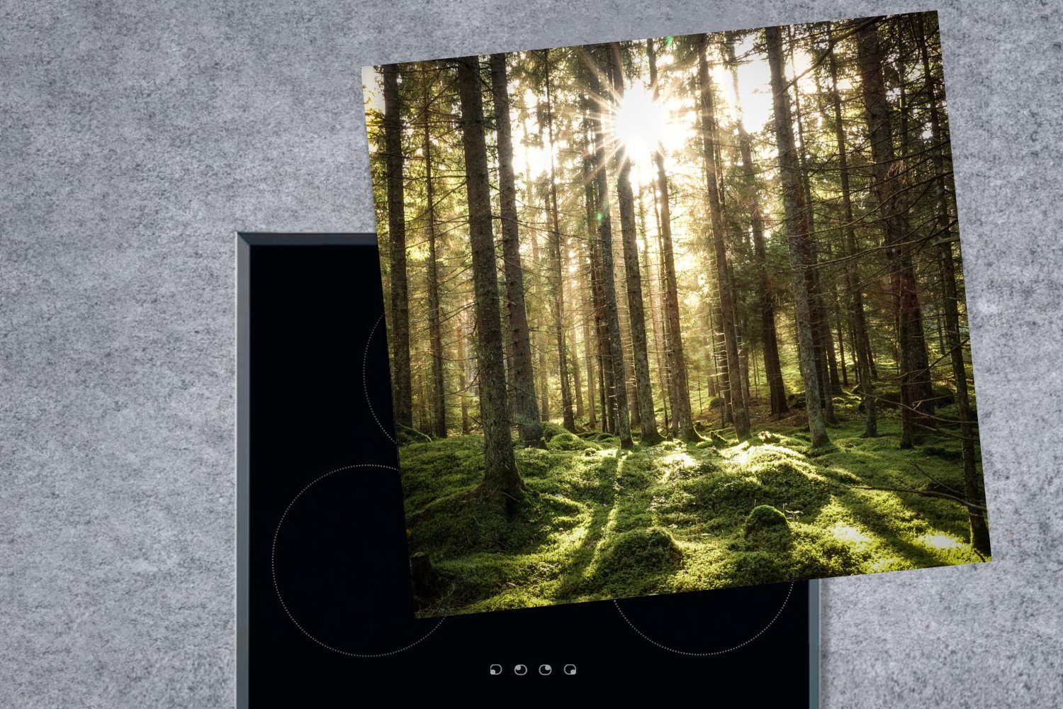 Vinyl, MuchoWow Wald 78x78 für (1 cm, - tlg), - Ceranfeldabdeckung, küche Arbeitsplatte Baum, Herdblende-/Abdeckplatte Moos