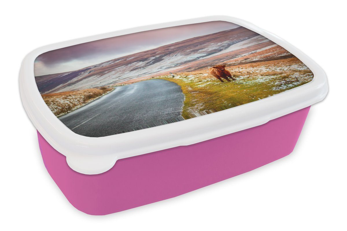 MuchoWow Lunchbox Schottischer Highlander - Natur - Kalb, Kunststoff, (2-tlg), Brotbox für Erwachsene, Brotdose Kinder, Snackbox, Mädchen, Kunststoff rosa