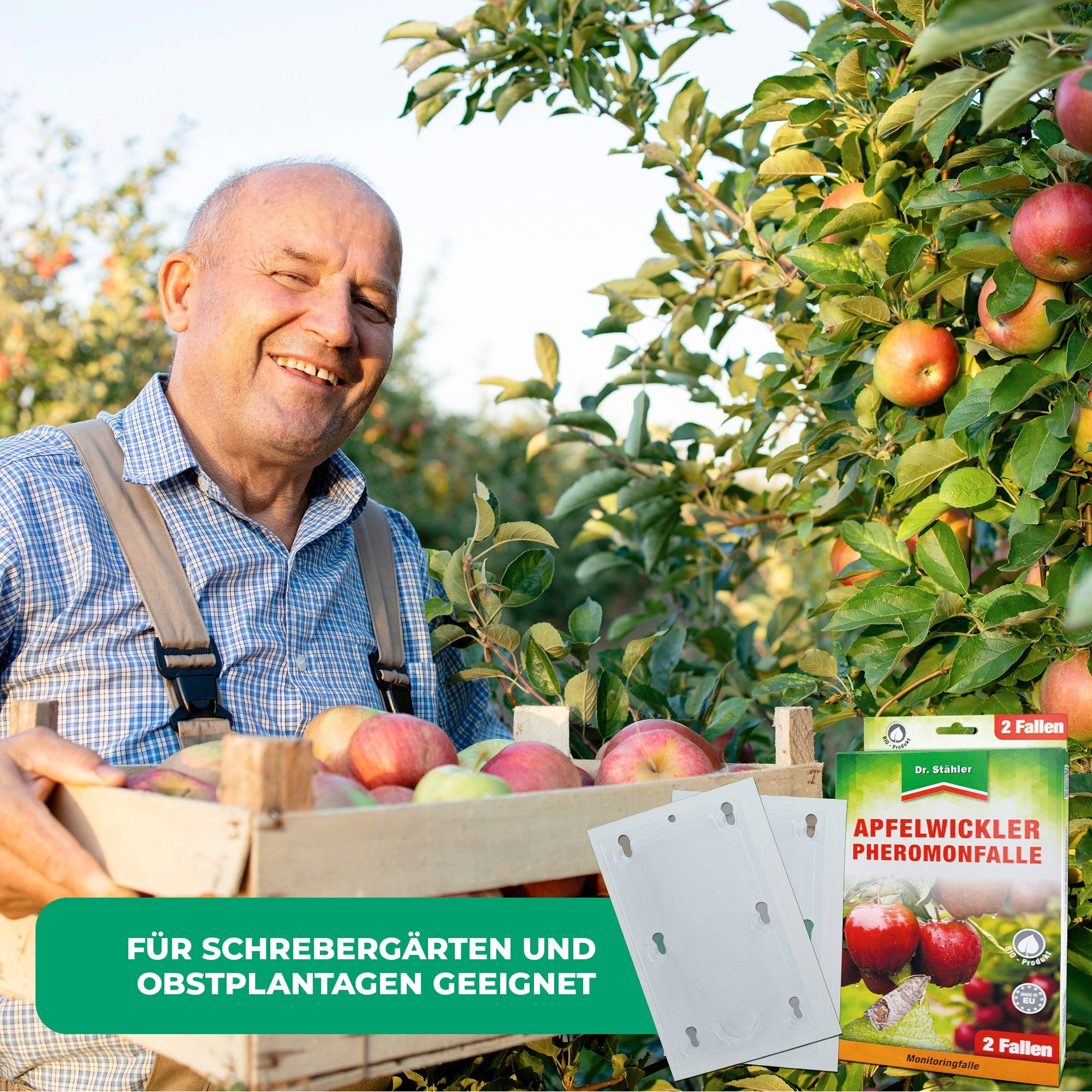Dr. Stähler Klebefalle Apfelwickler Pheromonfalle: Effektiver Schutz für Obstbäume, Monitoringfalle - Für Apfelbäume & Obstgärten – Ohne Insektizide – Bild 5 von 5