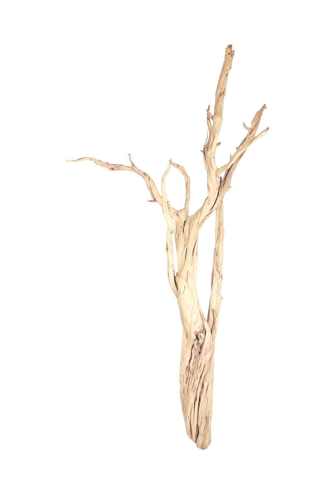 Kunstbaum Ghostwood, sandgestrahlt, verzweigt, 90-100 cm Ghostwood, fleur ami, Höhe 0 cm
