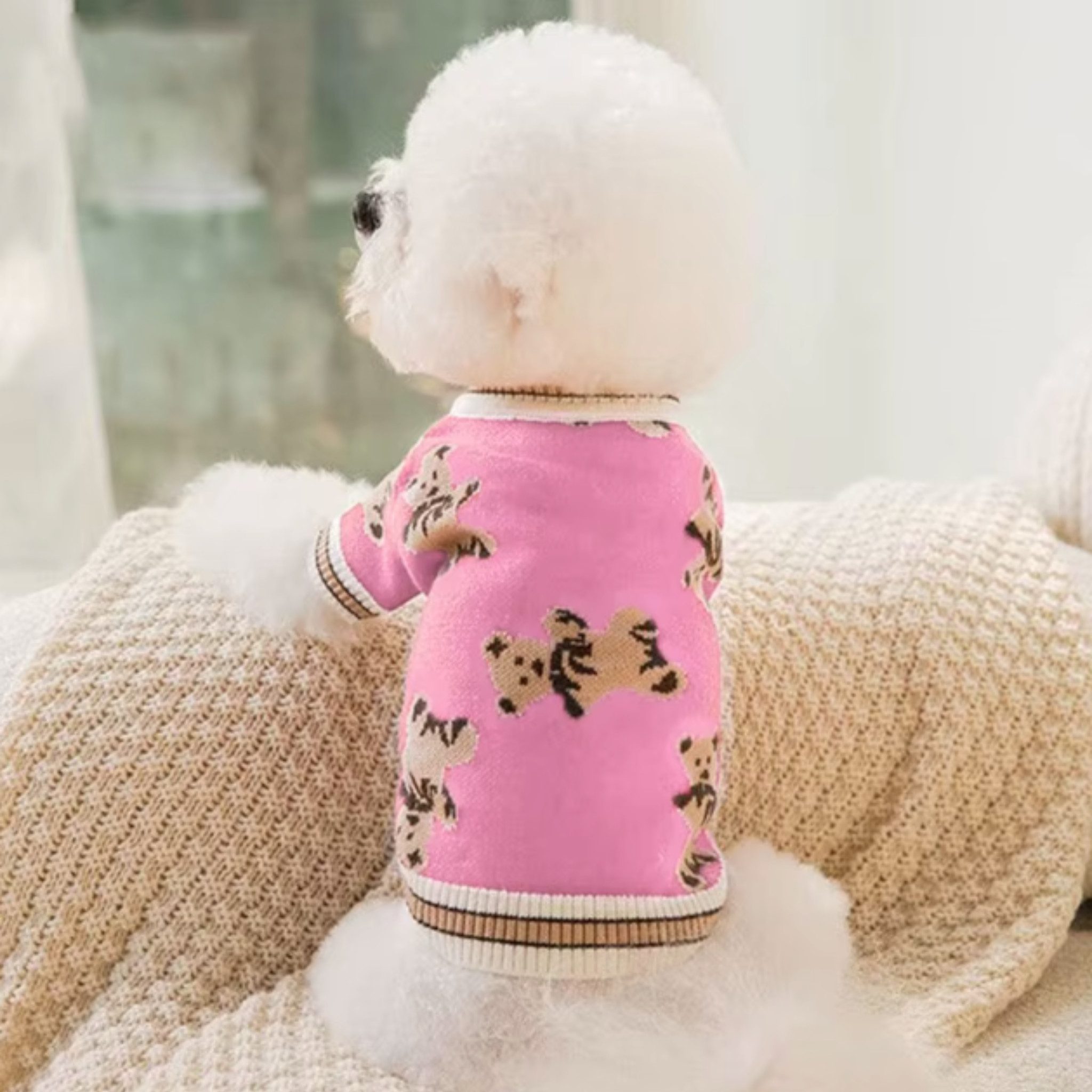 FLOCKI Pets™ Hundepullover Hunde Strickpullover, für Hunde in verschiedenen Größen, niedliches Teddy-Bär Design