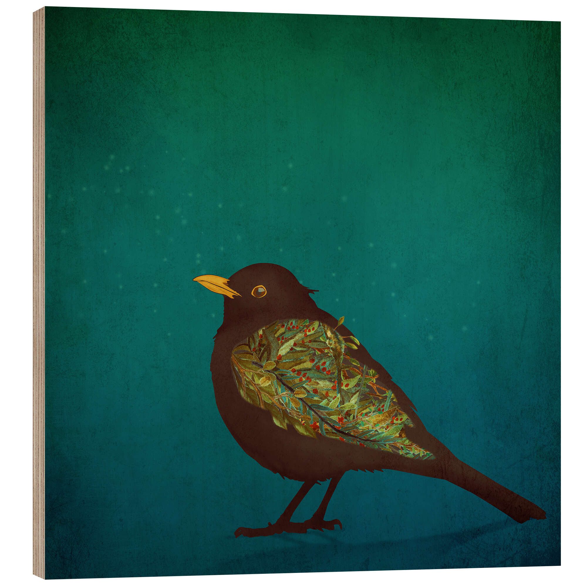 Posterlounge Wandbild Amsel, Sybille Sterk, erhältlich als Poster, Leinwandbild, Wandsticker oder Acrylglasbild