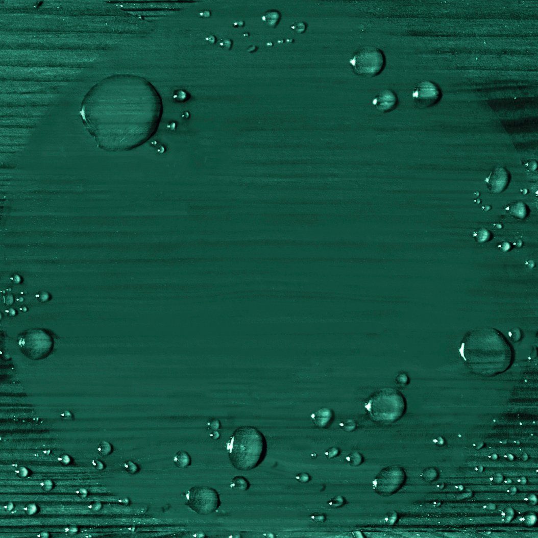 Alpina Wetterschutzfarbe Moosgrün ca. 2,5 deckend, Liter für m² seidenmatt, 21 Wetterschutzfarbe