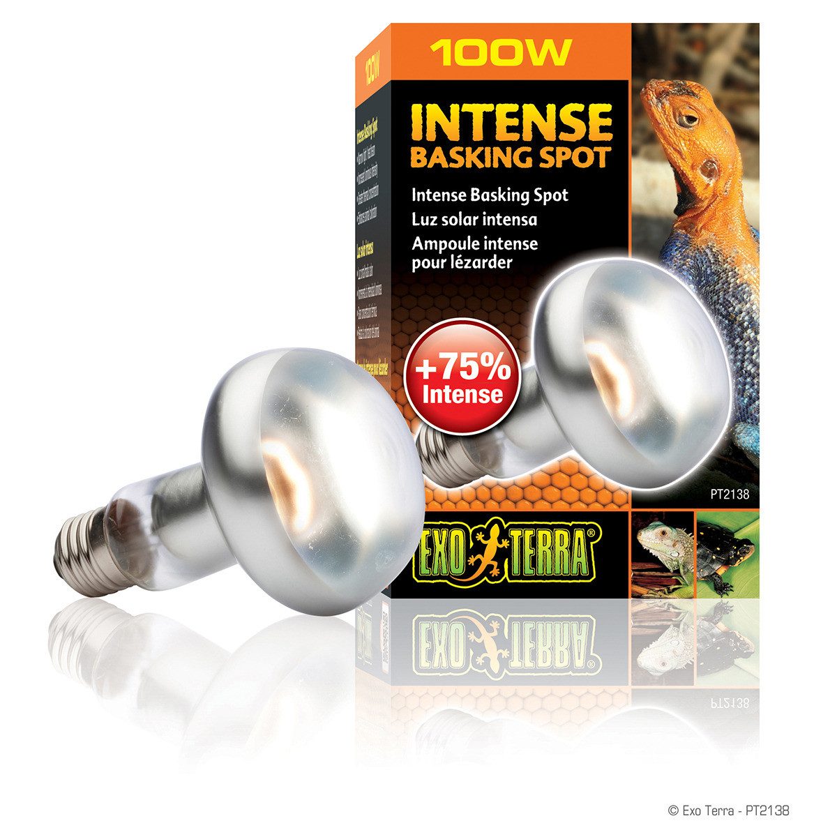 Exo Terra Terrarienleuchte Intense Basking Spot günstig online kaufen