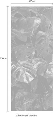 Komar Vliestapete Tropical Wall Panel, (1 St), 100x250 cm (Breite x Höhe), Vliestapete, 100 cm Bahnbreite