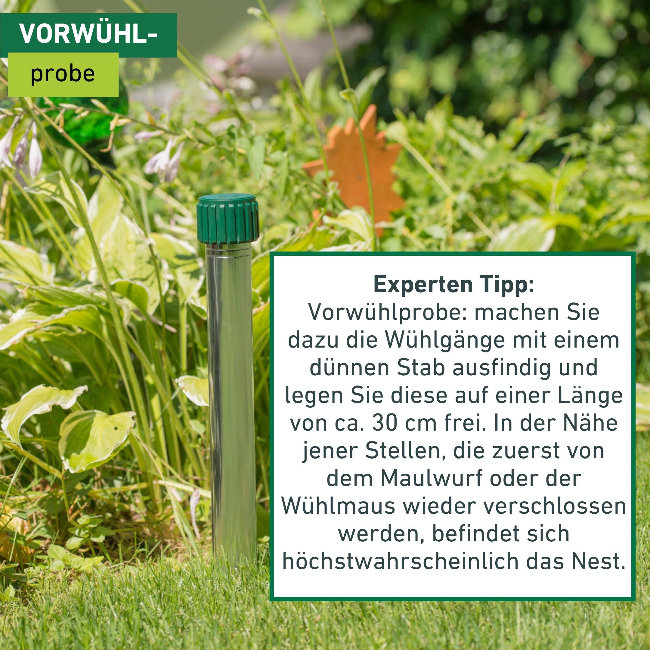 Windhager Ultraschall-Tierabwehr Maulfwurfschreck und Wühlmausvertreiber Premium, batteriebetrieben, Wirkungsbereich 900 m² mit Resonanzschwingungen und Ultrasc – Bild 5 von 5