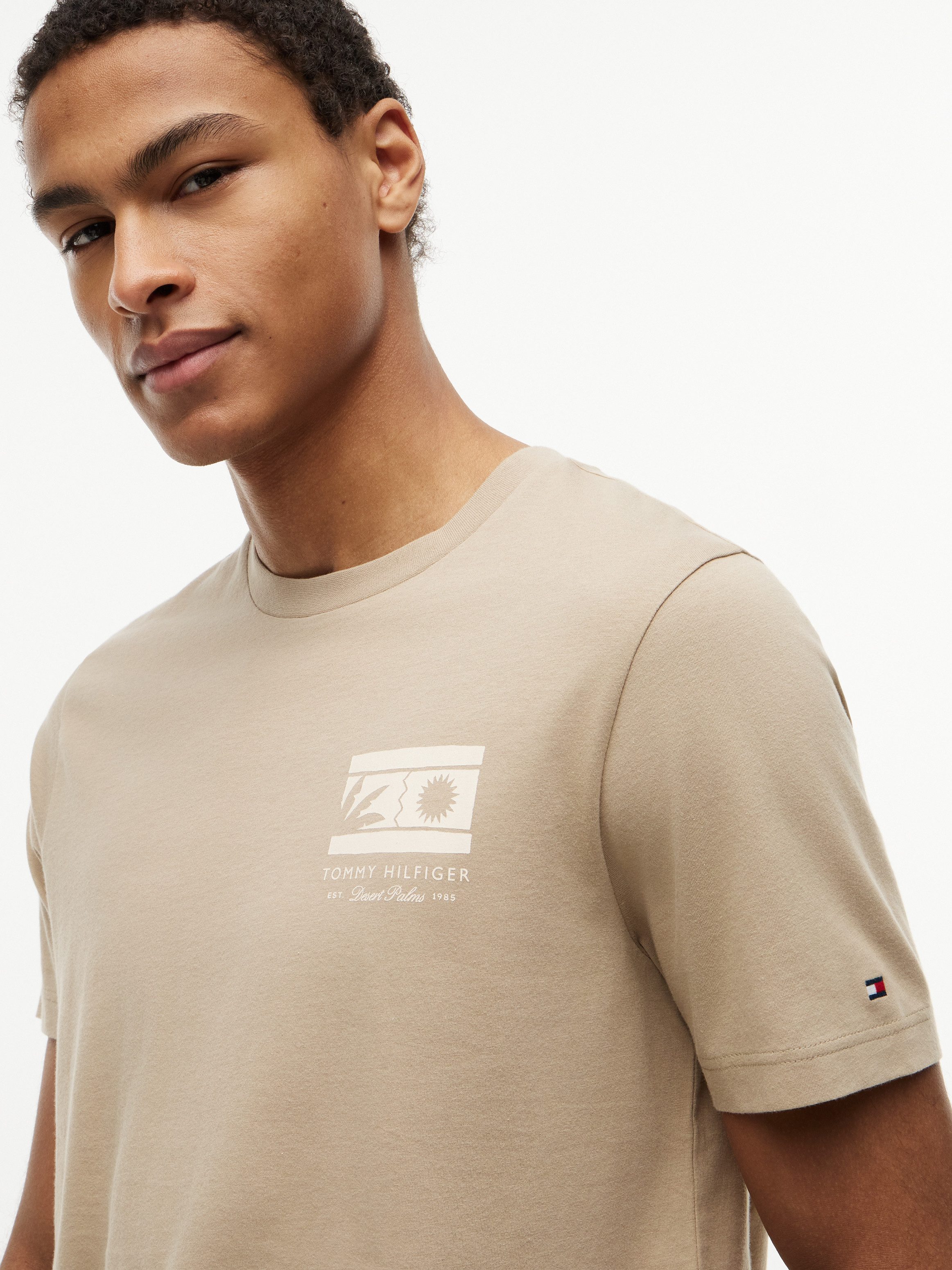 Tommy Hilfiger T-Shirt MONO SUN GRAPHIC REGULAR TEE aus Jersey mit Logo-Grafik