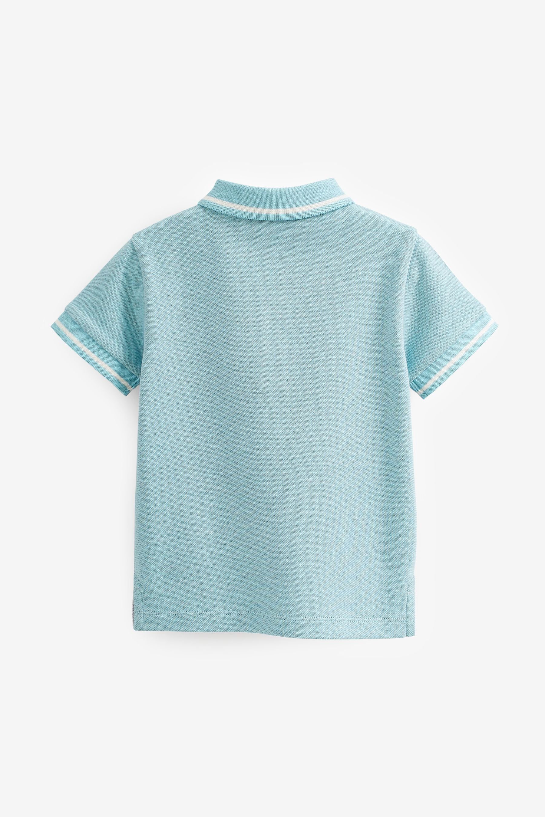 Kurzärmeliges durchgehendem mit Print Blue (1-tlg) Poloshirt Check Next Polohemd