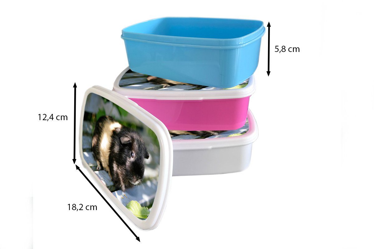 MuchoWow Lunchbox Meerschweinchen und Garten, und für weiß Mädchen Kunststoff, Brotdose, Jungs (2-tlg), für im Kinder Erwachsene, Brotbox