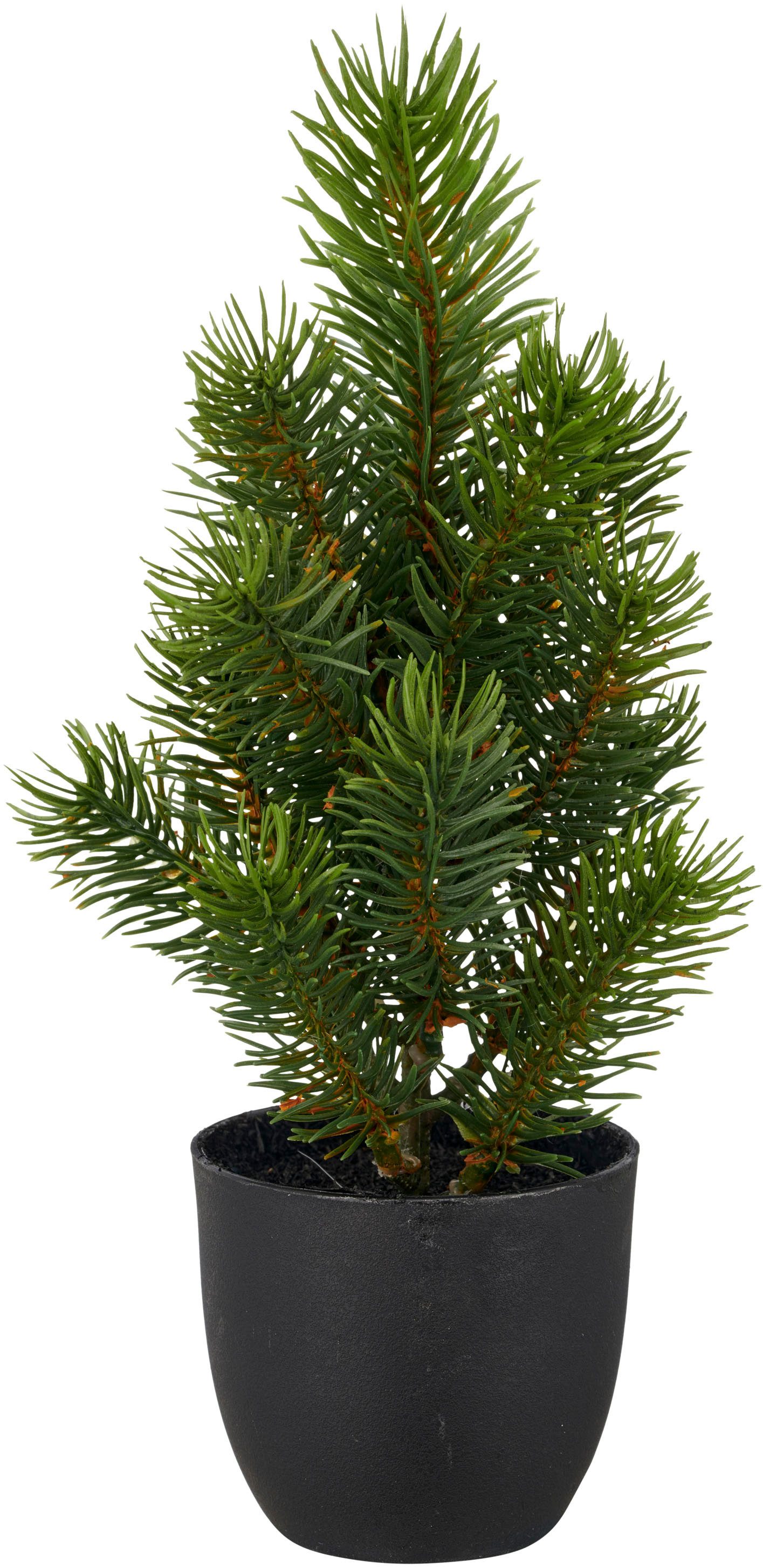 Winterliche Kunstpflanze Tannenbäumchen, Creativ green, Höhe 25 cm, mit nat günstig online kaufen