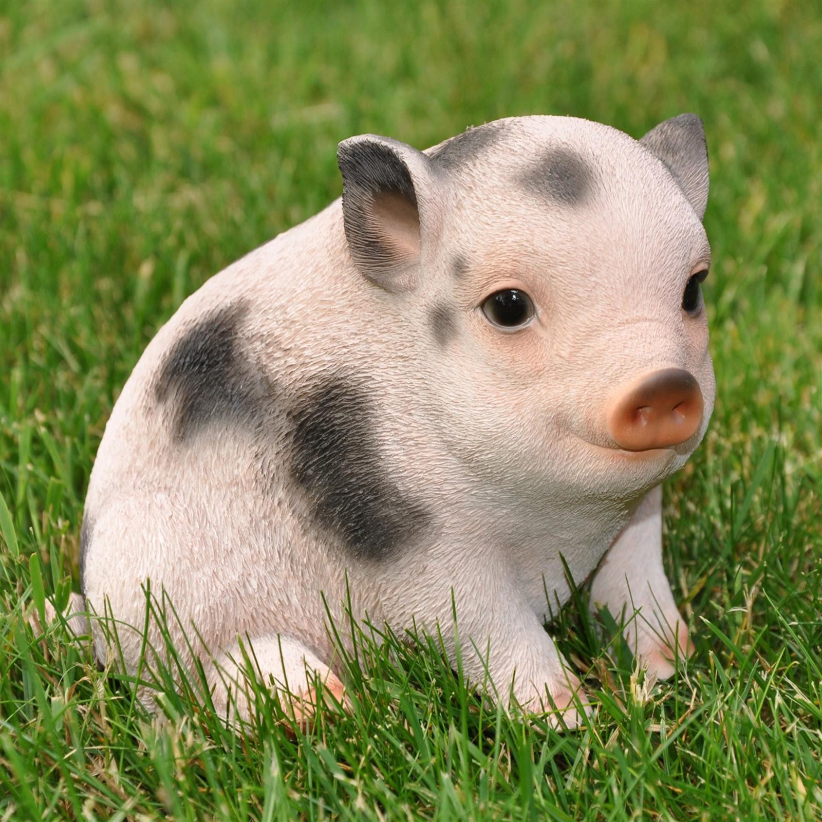 dazikemo Gartenfigur Dekofigur Gartenfigur Schwein / günstig online kaufen