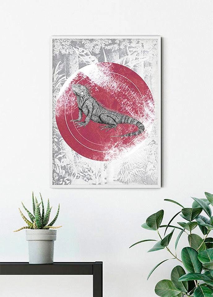 Iguana Tiere Kinderzimmer, St), (1 Circle, Poster Schlafzimmer, Wohnzimmer Komar