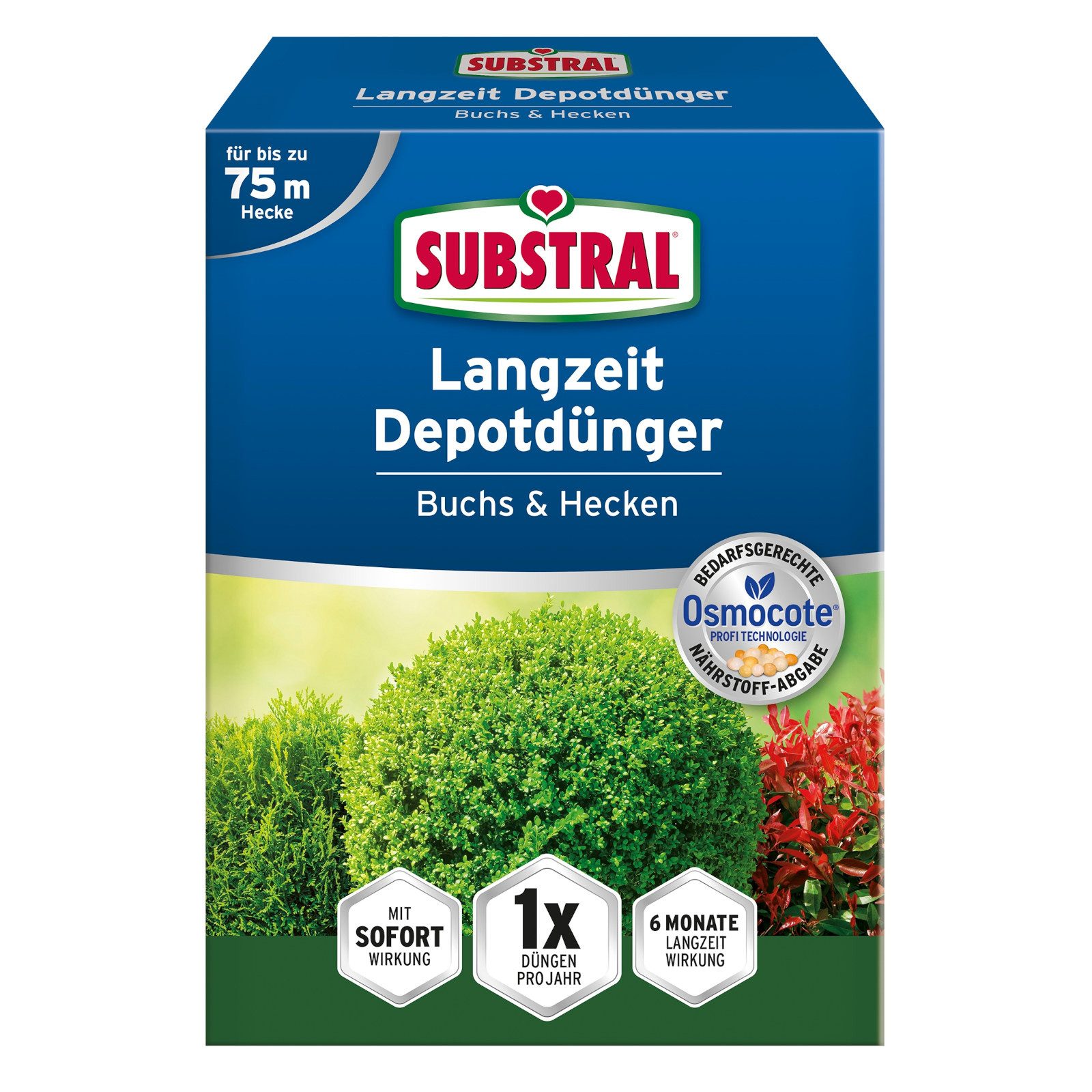 Substral Langzeitdünger Langzeit Depotdünger für Buchs & Hecken - 1,5 kg