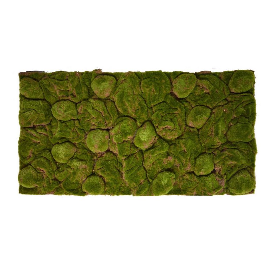 Repiterra Terrarium Terrarium Rückwände für 120x60cm Terrarien