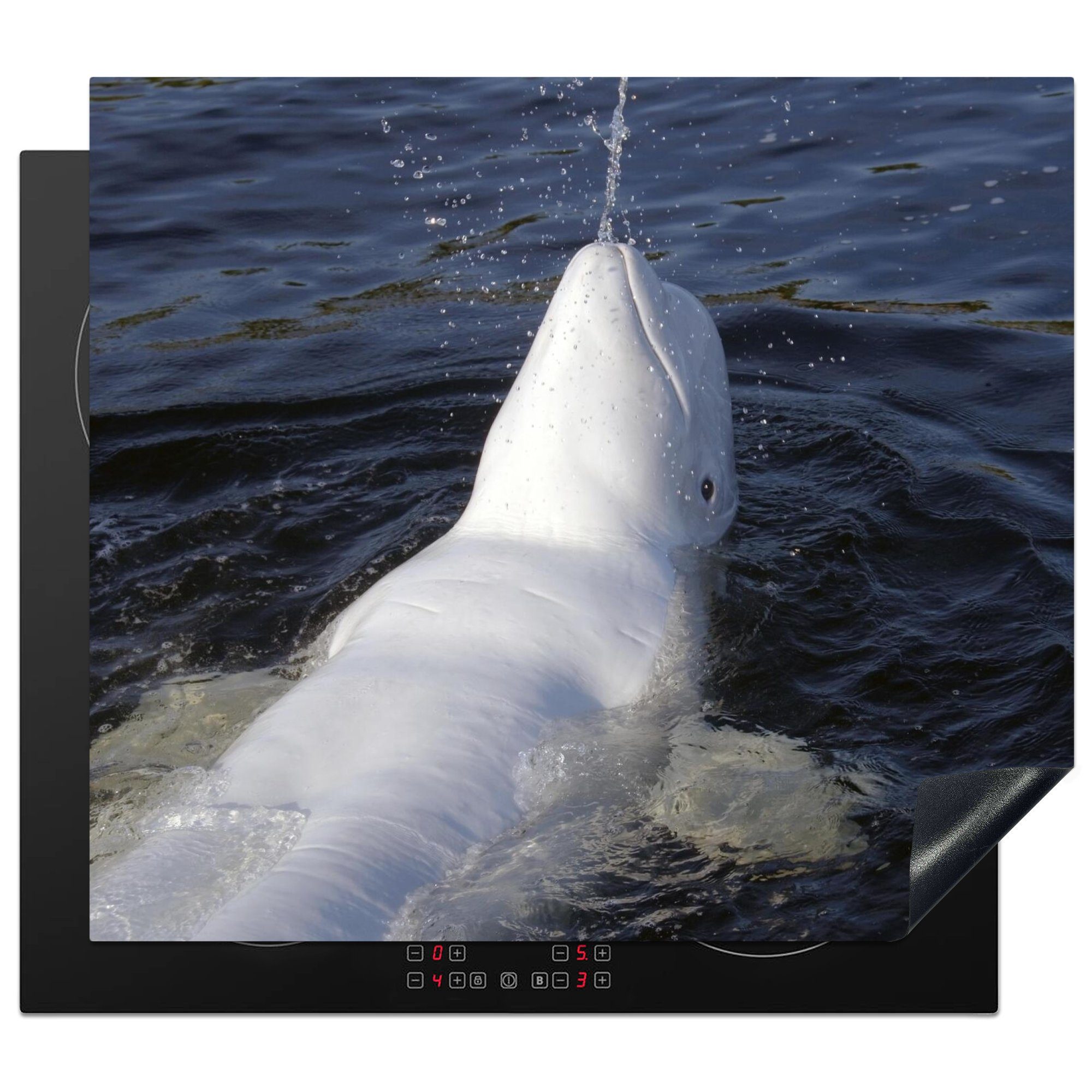 MuchoWow Herdblende-/Abdeckplatte Ceranfeldabdeckung tlg), Schwimmen, Mobile Arbeitsfläche - cm, nutzbar, Delfin 60x52 Vinyl, (1 Weiß 