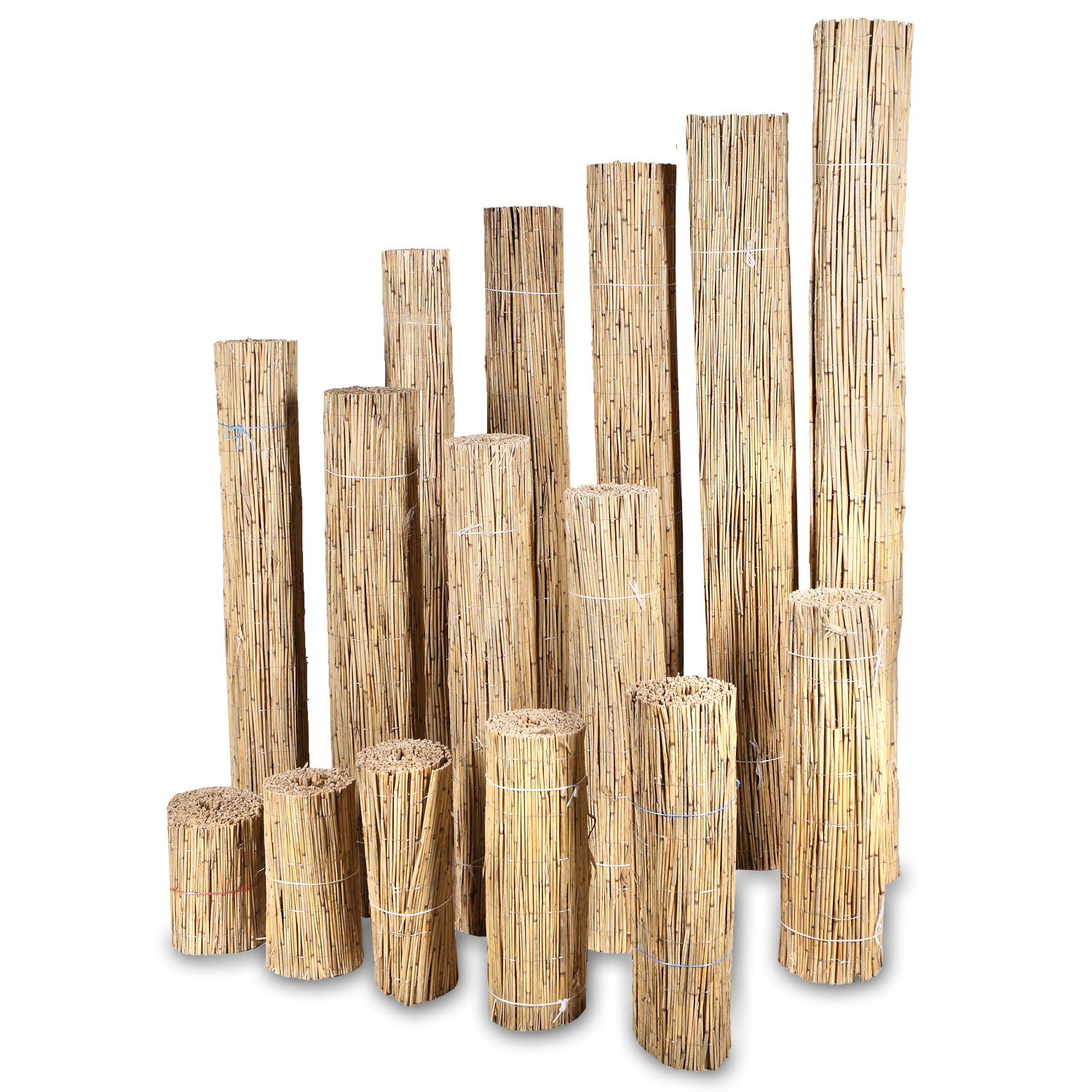Home4Living Sichtschutzzaunmatten Schilfmatten Sichtschutzmatten 30-200cm Höhe, 3 u. 6m Länge, Naturprodukt