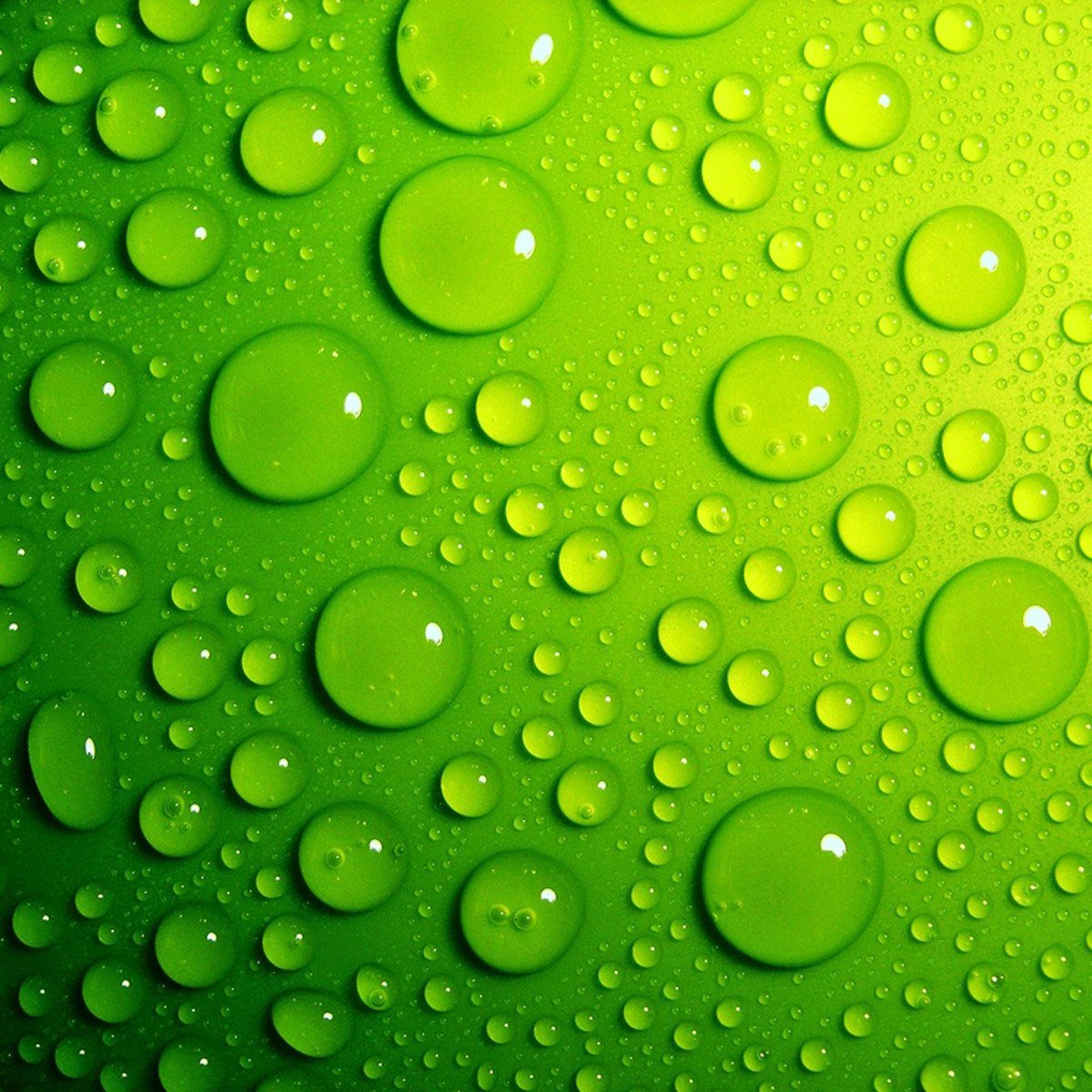 Wallario Möbelfolie Wassertropfen auf Grün