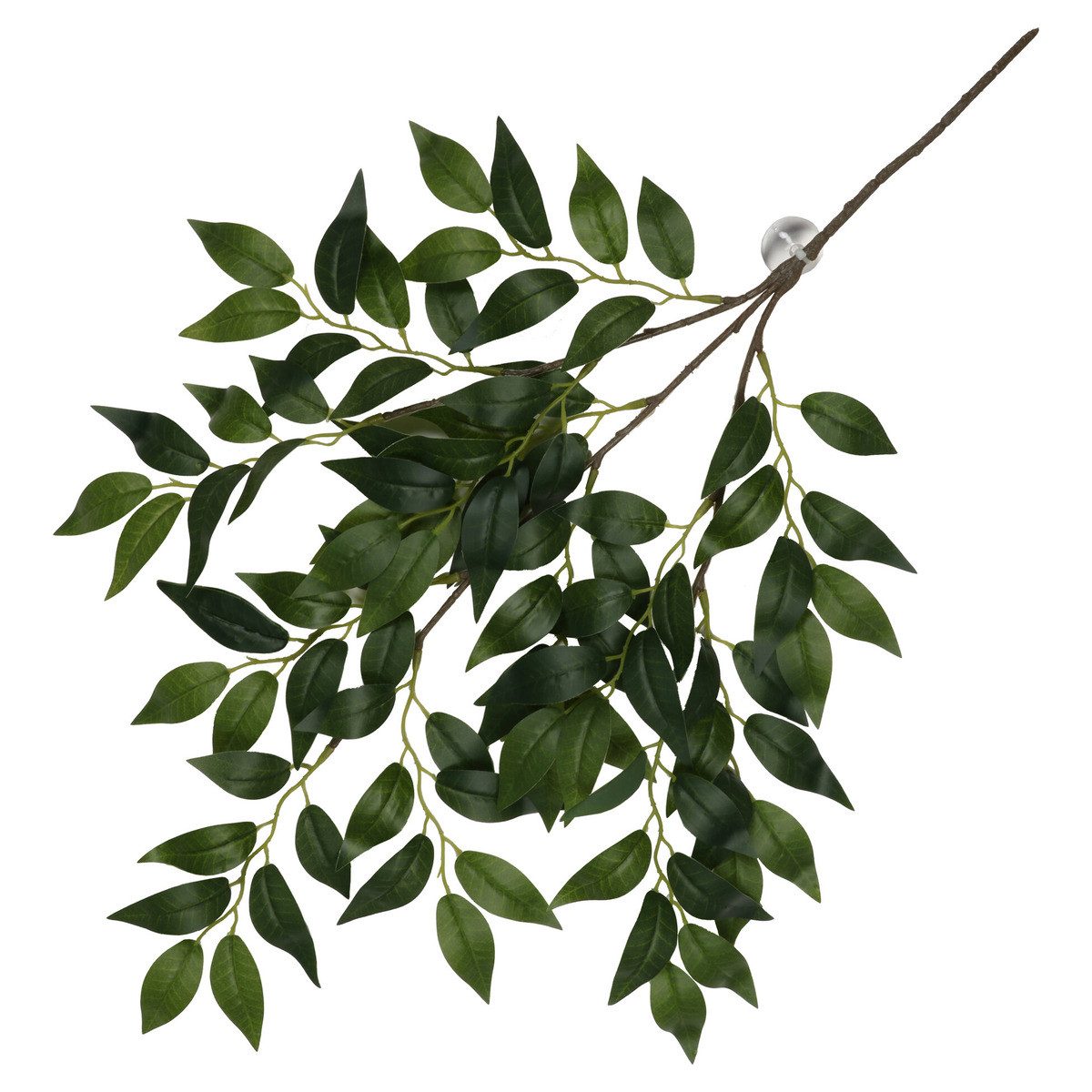 Terra Della Terrariendeko Hängepflanze Banyan grün