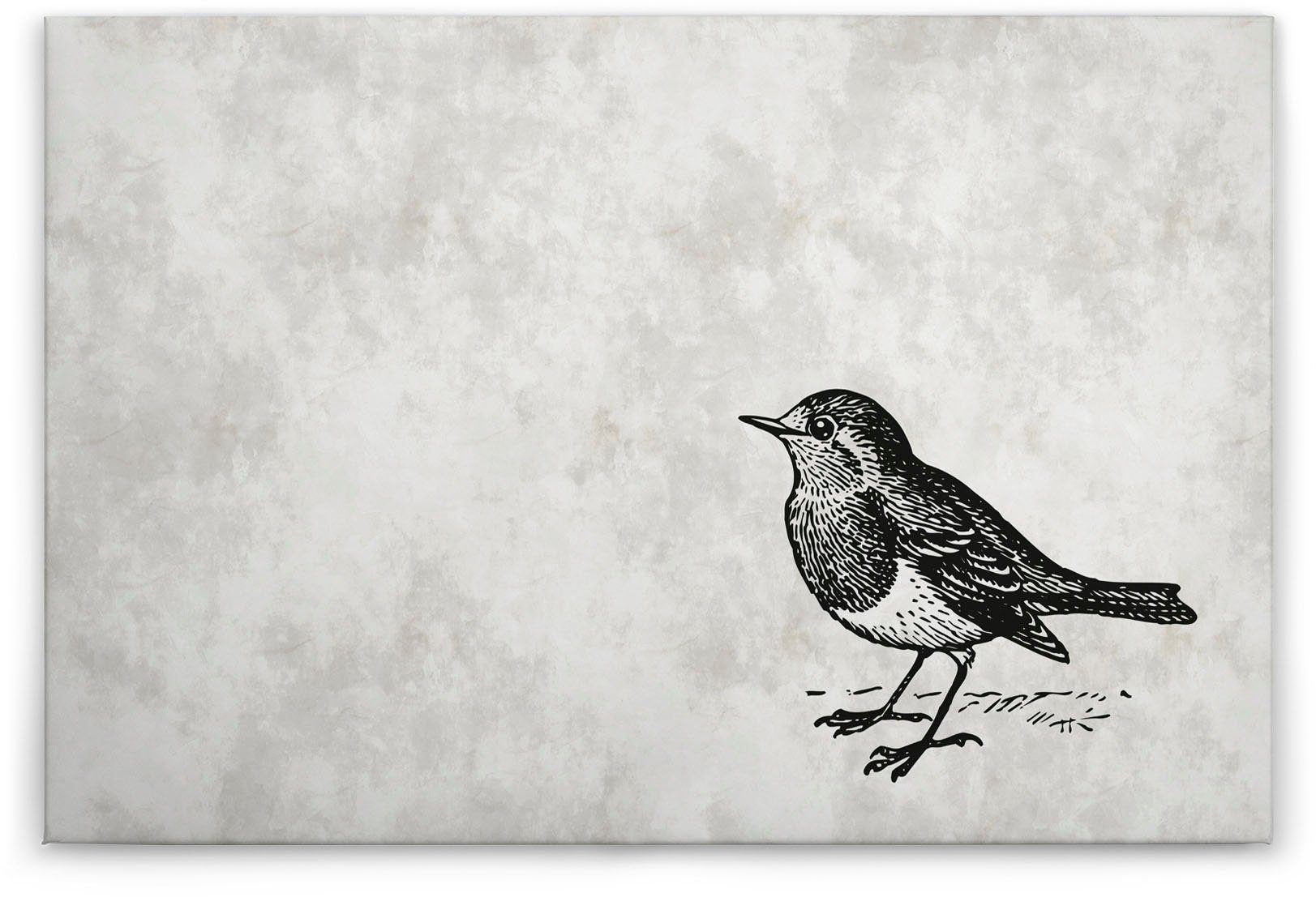 A.S. Création sketchpad Schwarz-Weiß Vogel Bild 5, (1 Zeichnung Keilrahmen St), Vögel Leinwandbild