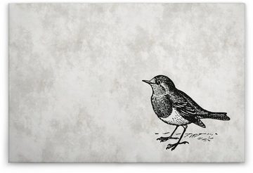 A.S. Création Leinwandbild sketchpad 5, Vögel (1 St), Schwarz-Weiß Zeichnung Vogel Keilrahmen Bild
