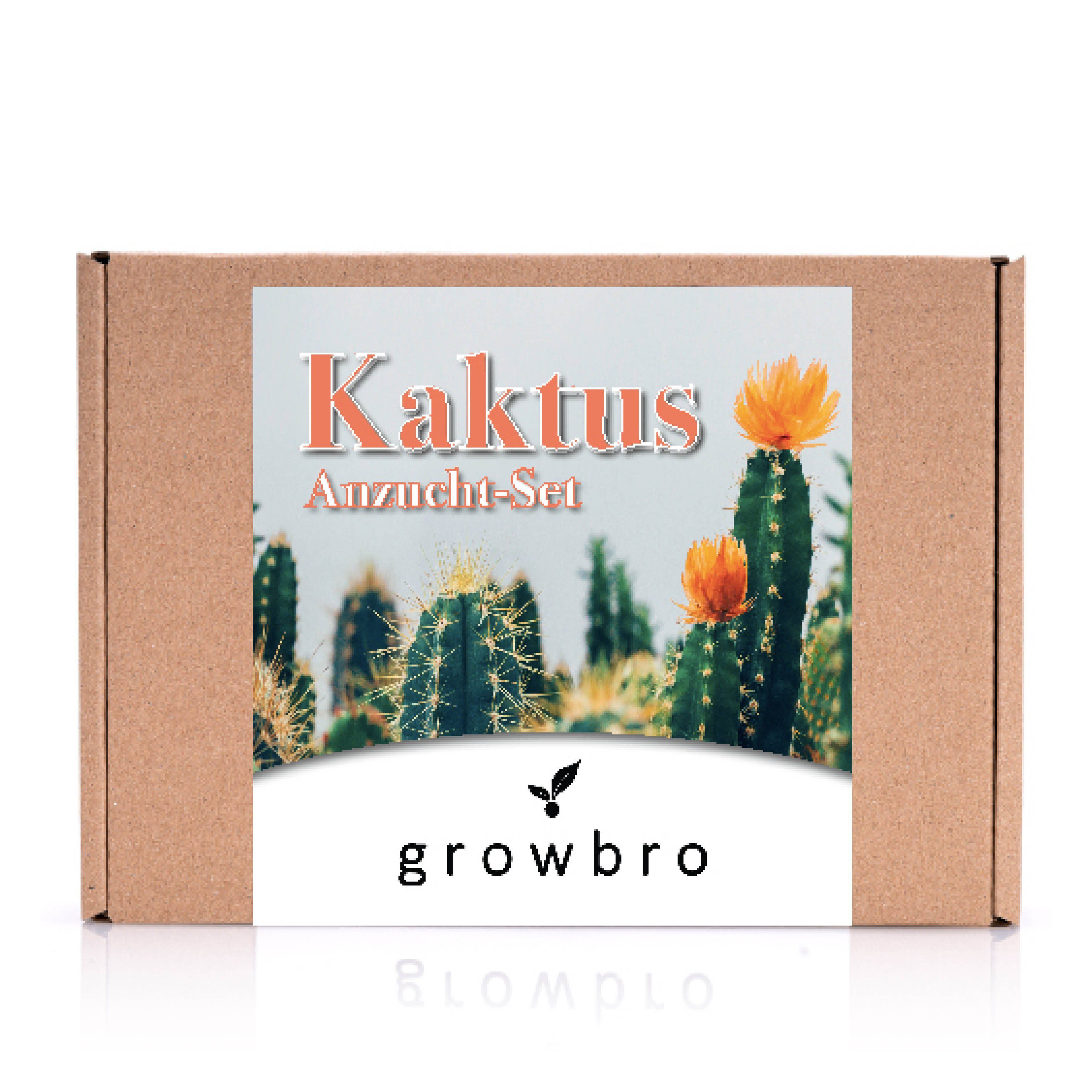 Kunstkaktus KAKTUS Anzuchtset inkl. Sprühflasche PERFEKTES günstig online kaufen