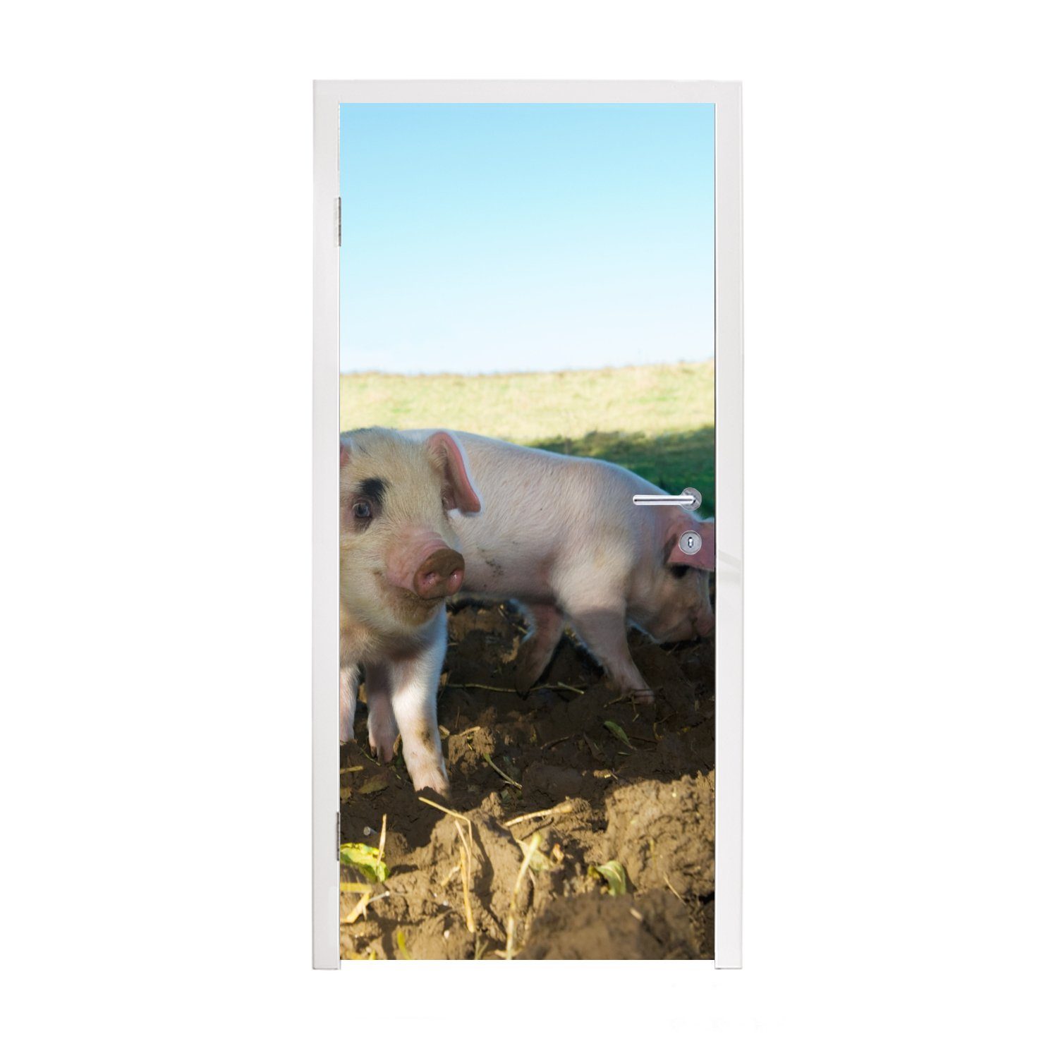 MuchoWow Türtapete Schweine - Tiere - Landschaft, Matt, bedruckt, (1 St), Fototapete für Tür, Türaufkleber, 75x205 cm