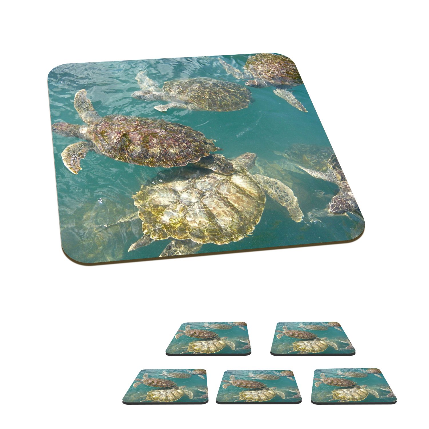 MuchoWow Glasuntersetzer Schildkröten schwimmen gemeinsam im klaren blauen Wasser vor Grand, Zubehör für Gläser, 6-tlg., Glasuntersetzer, Tischuntersetzer, Korkuntersetzer, Untersetzer, Tasse