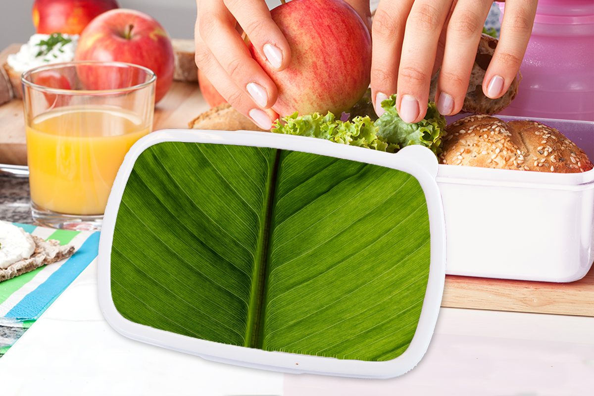 MuchoWow Lunchbox Blätter Textur - Erwachsene, Jungs und Brotdose, Kinder für Brotbox für Mädchen weiß Kunststoff, und Grün, - (2-tlg)