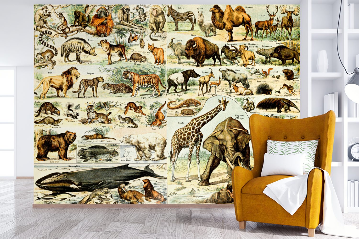 Schlafzimmer, - bedruckt, Giraffe St), MuchoWow Wallpaper Fototapete Vinyl für Tapete (6 Wohnzimmer, Matt, - Kinderzimmer, Tiere Bär,