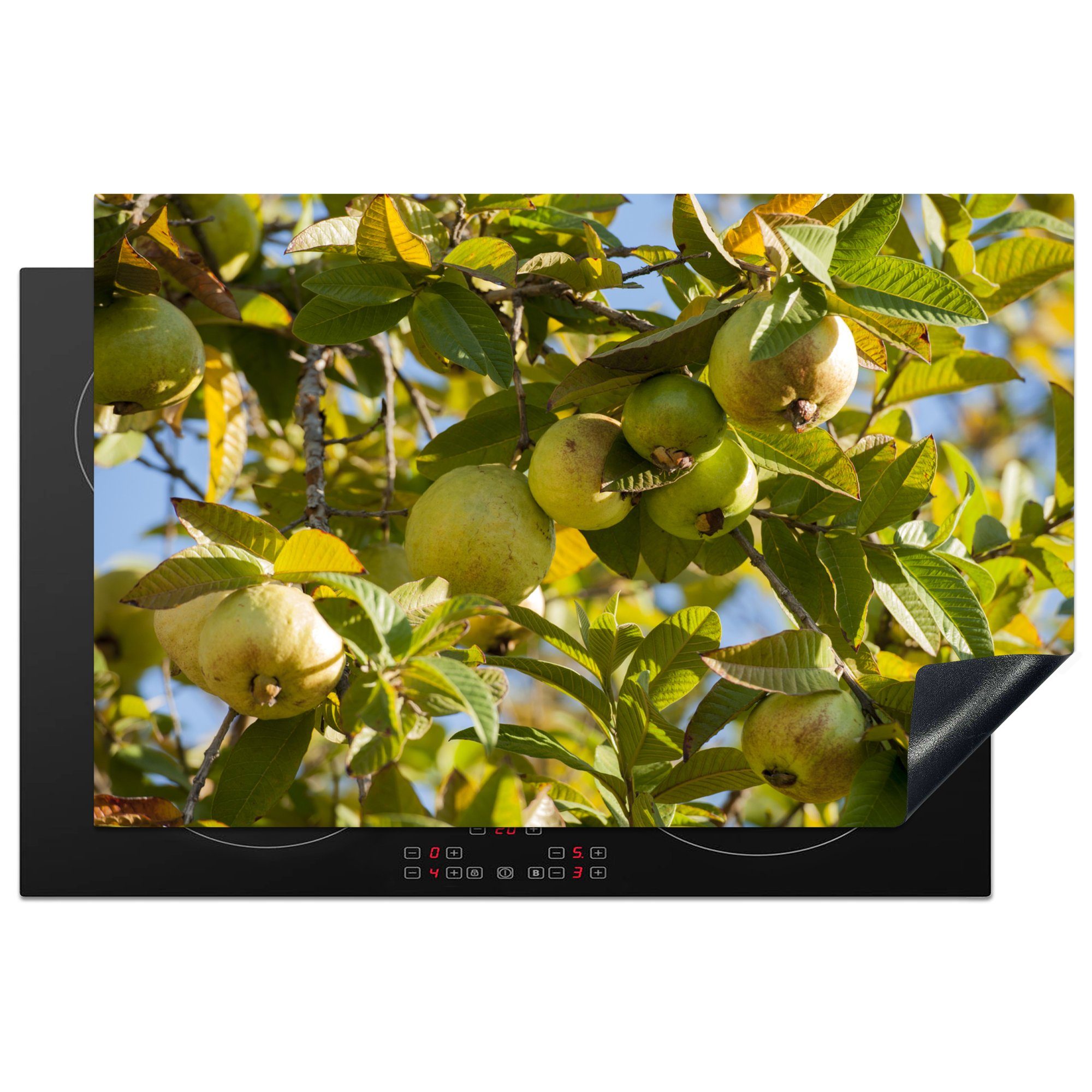 MuchoWow Herdblende-/Abdeckplatte Ein Guavenbaum in voller Pracht im sonnigen Kalifornien, Vinyl, (1 tlg), 81x52 cm, Induktionskochfeld Schutz für die küche, Ceranfeldabdeckung