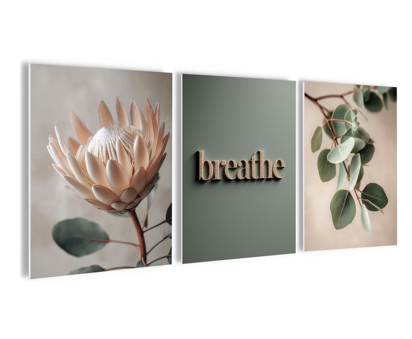 artissimo Mehrteilige Bilder Wandbilder-Set 3er-Set / Japandi Wanddeko / Wohnzimmer, Blumen und Blüten: Protea und Eukalyptus in salbei-grün beige