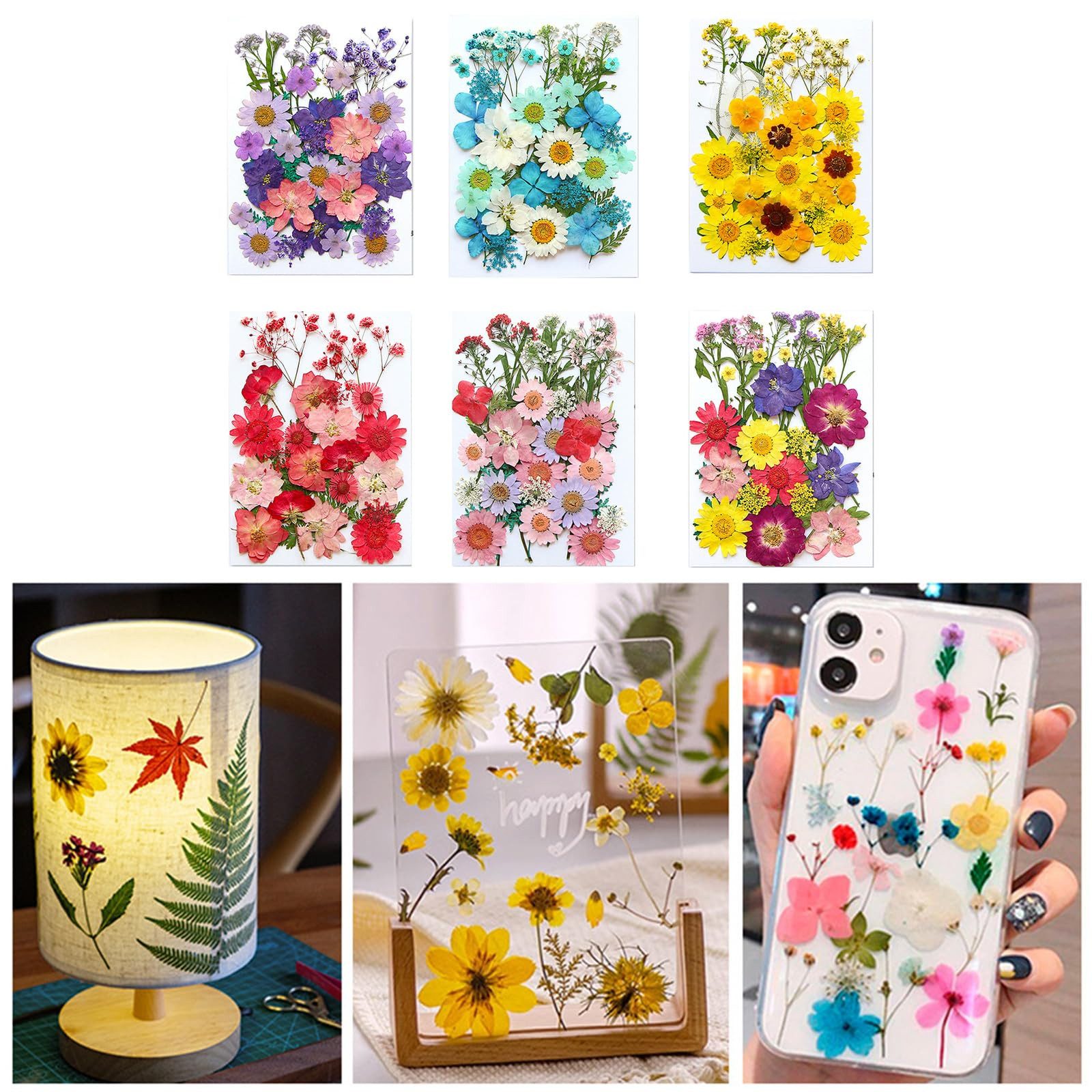 Trockenblume Getrocknete Blumen, Trockenblumen Zum Basteln, günstig online kaufen