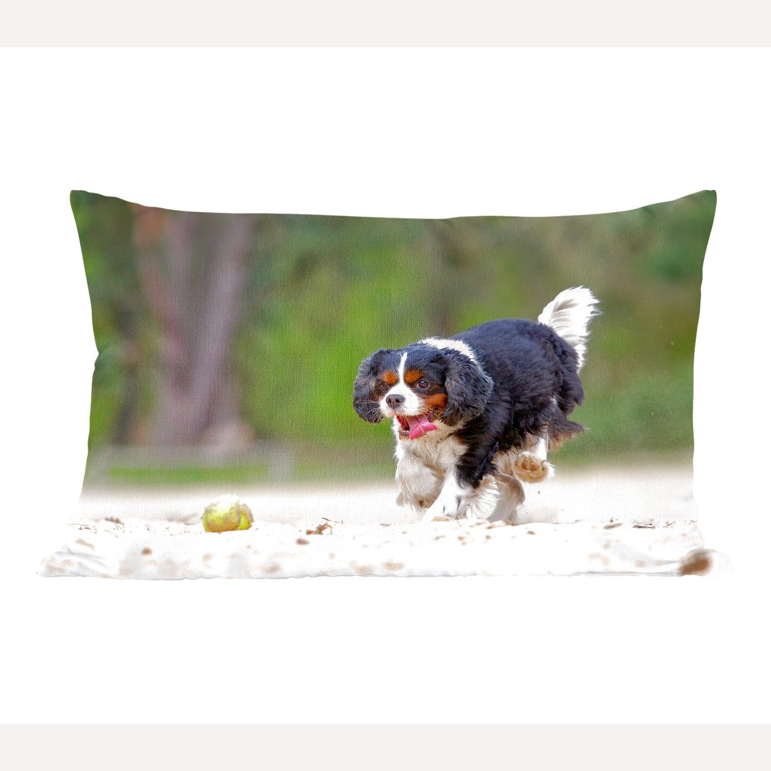 MuchoWow Dekokissen Ein Cavalier King Charles Spaniel spielt mit einem Tennisball, Wohzimmer Dekoration, Zierkissen, Dekokissen mit Füllung, Schlafzimmer