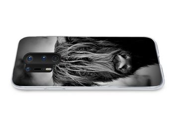 MuchoWow Handyhülle Schottischer Hochländer - Licht - Porträt - Natur, Phone Case, Handyhülle OnePlus 8 Pro, Silikon, Schutzhülle