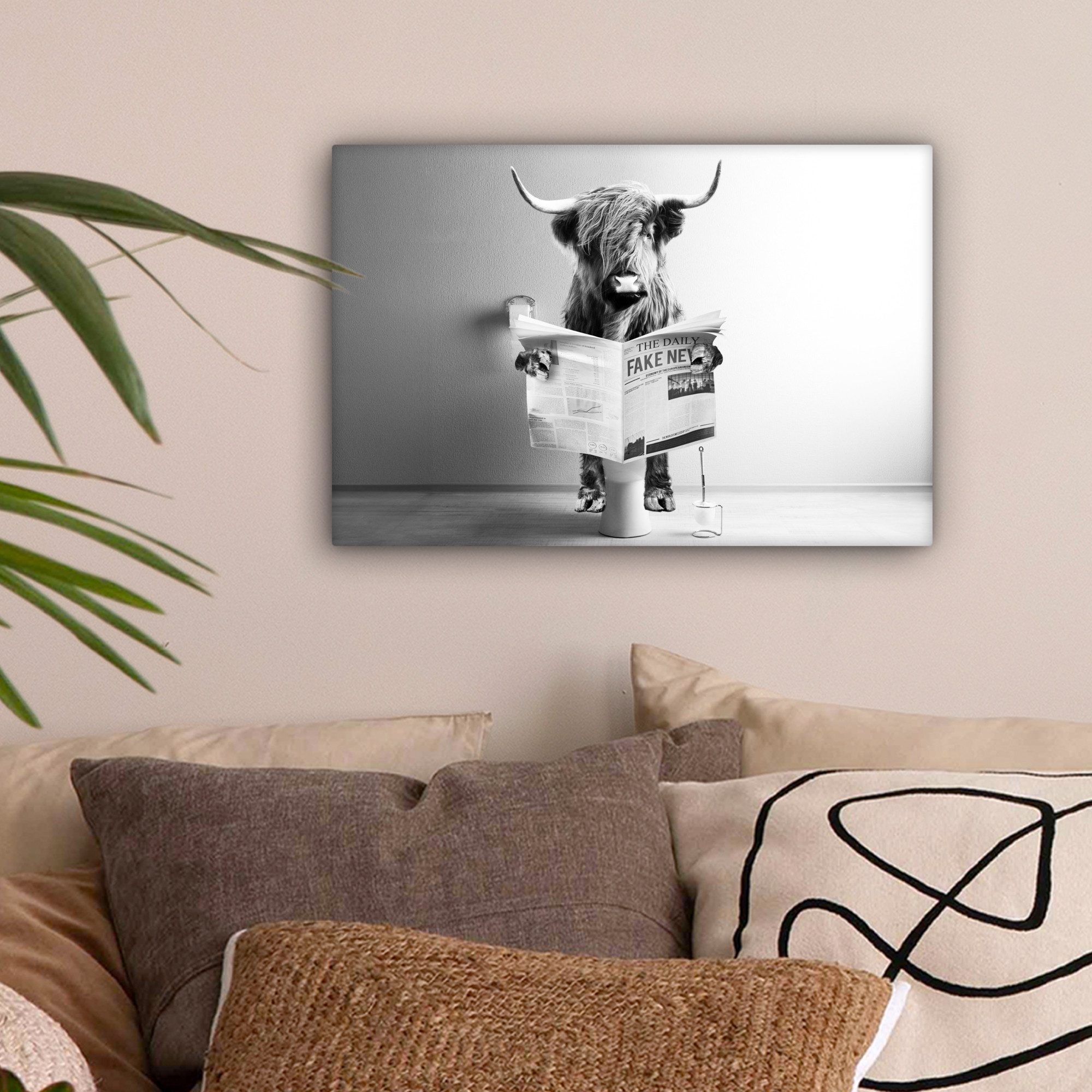 OneMillionCanvasses® Leinwandbild Schottischer Highlander - WC - Zeitung - günstig online kaufen