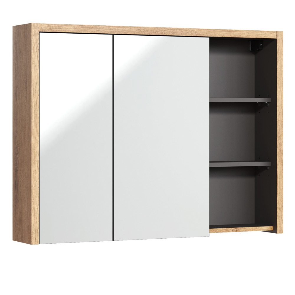 Lomadox Spiegelschrank DANZIG-56 Badezimmer 100 cm günstig online kaufen