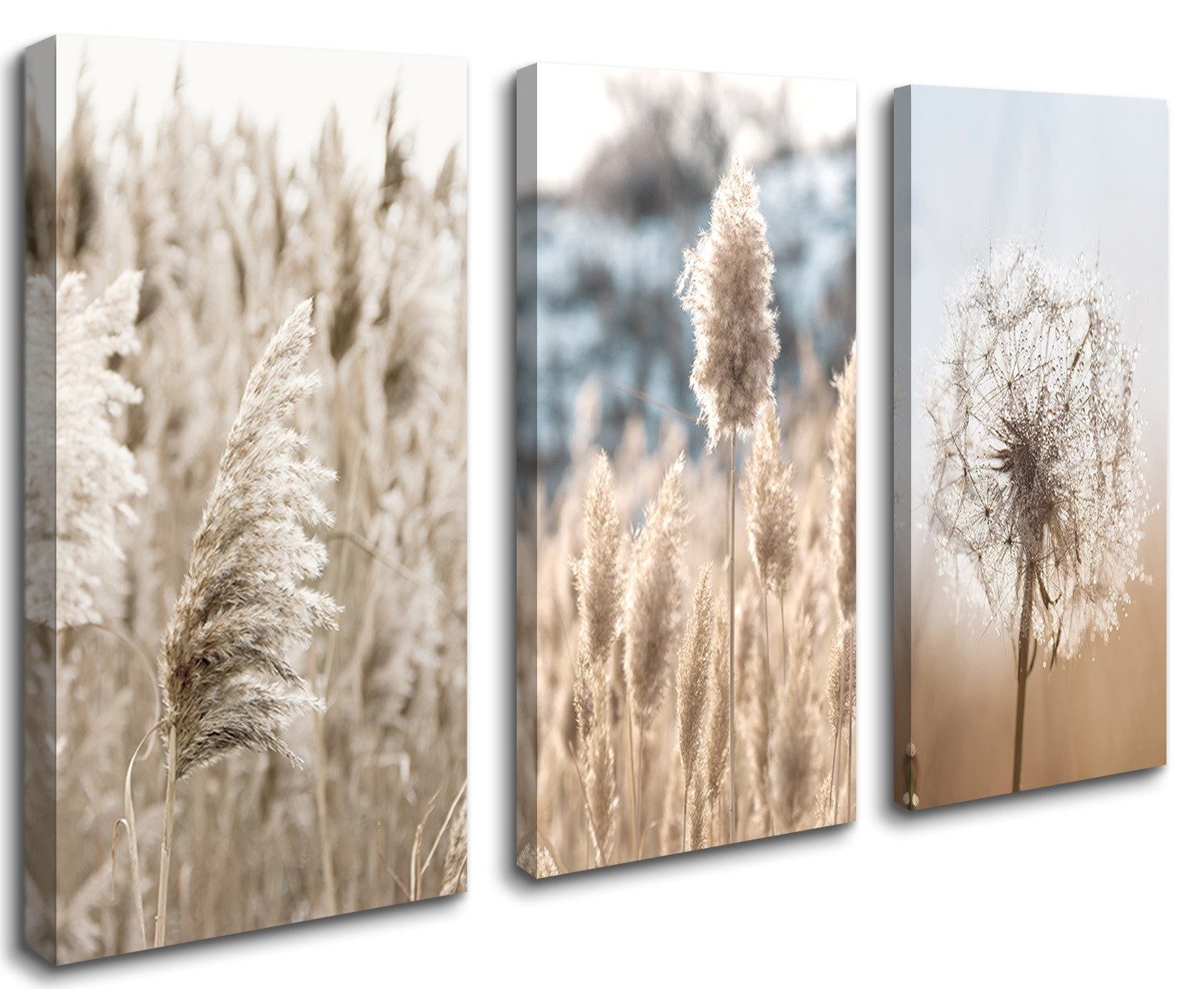 Visario Leinwandbild 3-teiliges Wandbild von Visario, günstig online kaufen