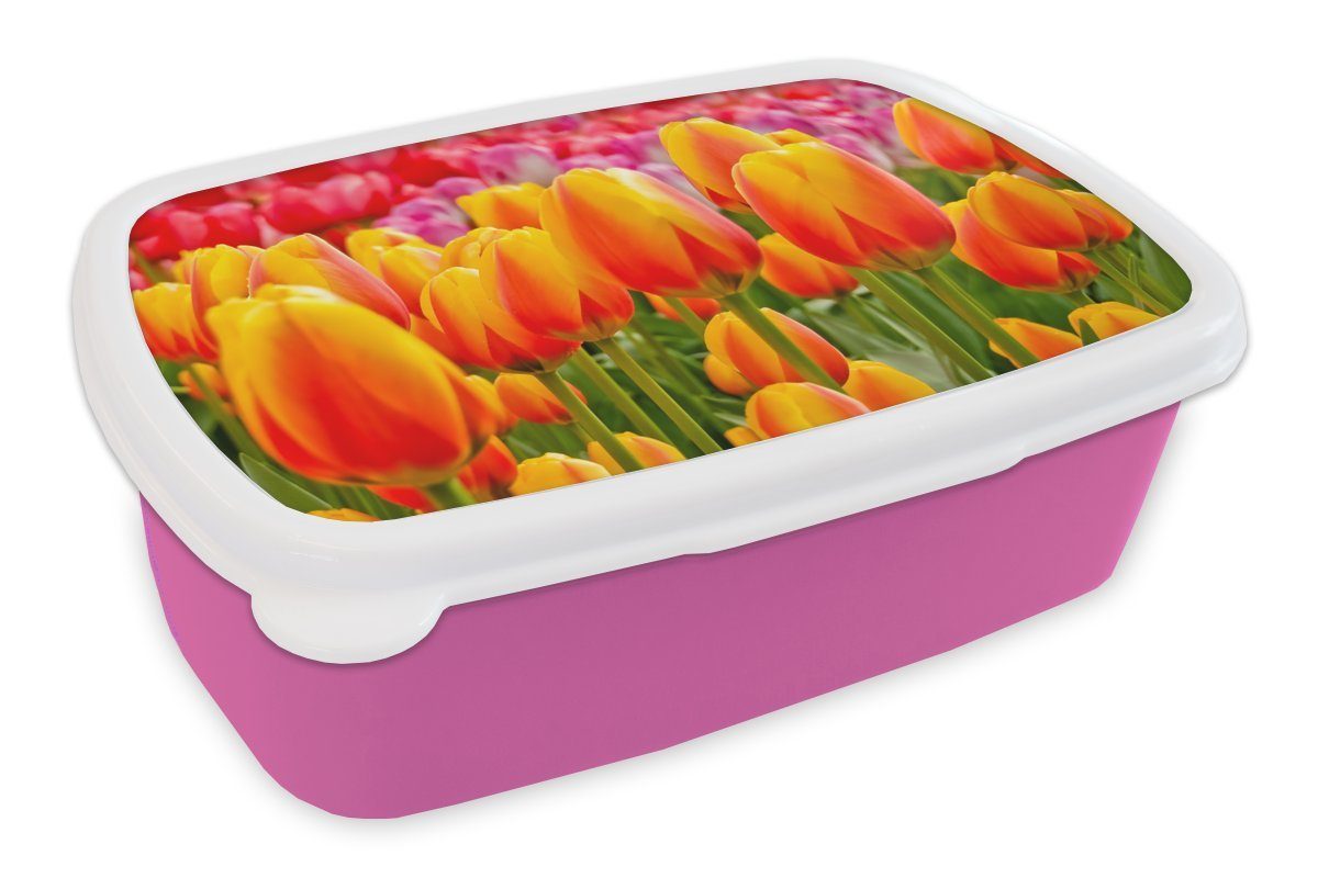 Tulpen Niederlanden, Orangene Snackbox, auf Kunststoff für in Brotbox Lunchbox Erwachsene, Kinder, Keukenhof den dem Brotdose (2-tlg), Mädchen, Kunststoff, MuchoWow rosa